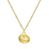 Shelly Necklace